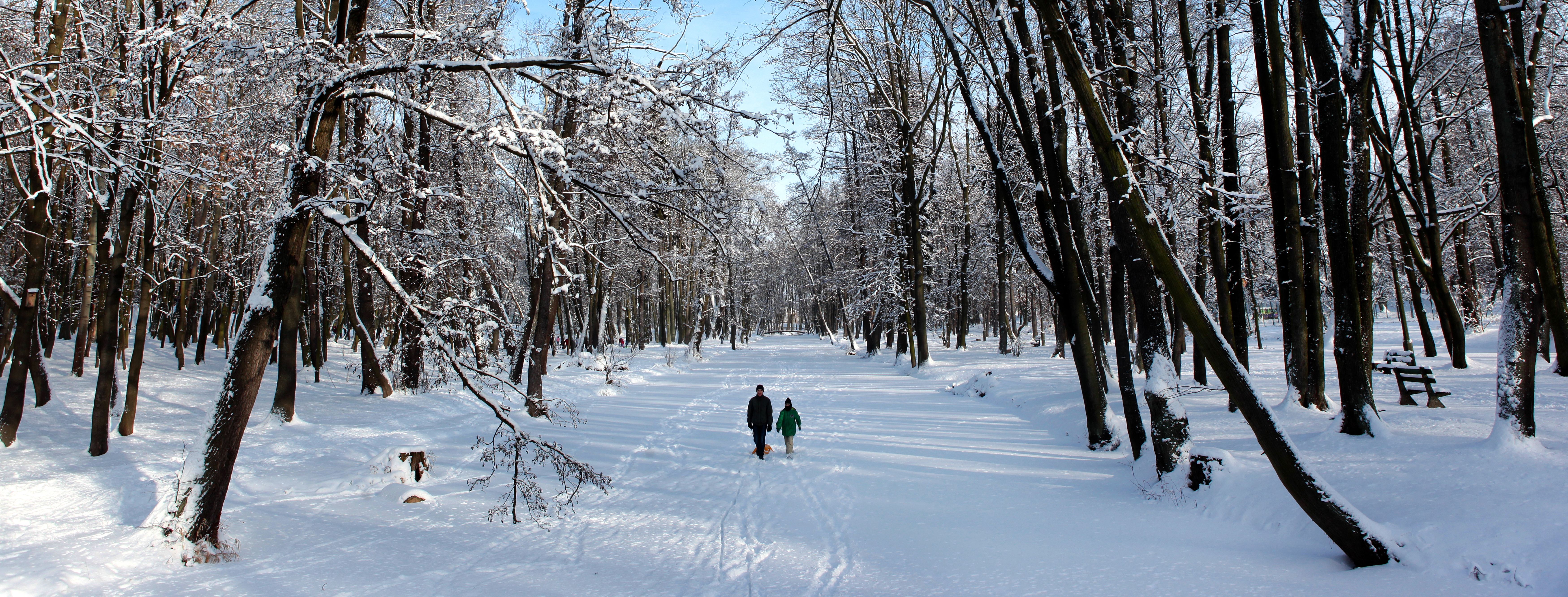 Zasypana śniegiem ścieżka w lesie z drzewami pokrytymi śniegiem, dwie osoby idą środkiem drogi, dzień, niebo częściowo zachmurzone.
